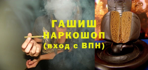 шишки Бородино