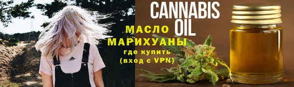 шишки Бородино