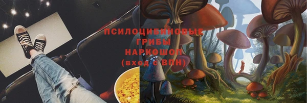 ГАЛЛЮЦИНОГЕННЫЕ ГРИБЫ Верхнеуральск