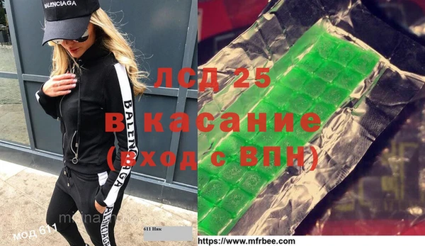 шишки Бородино