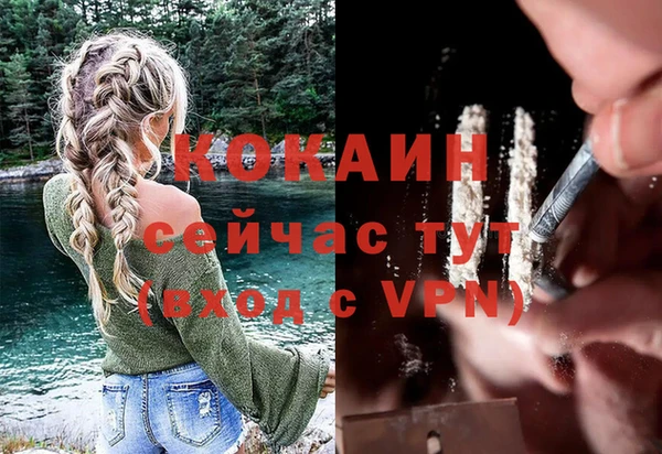 шишки Бородино