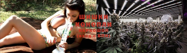 шишки Бородино