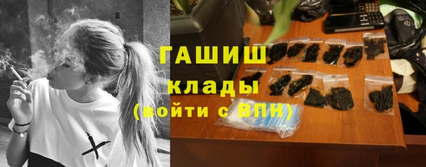 шишки Бородино
